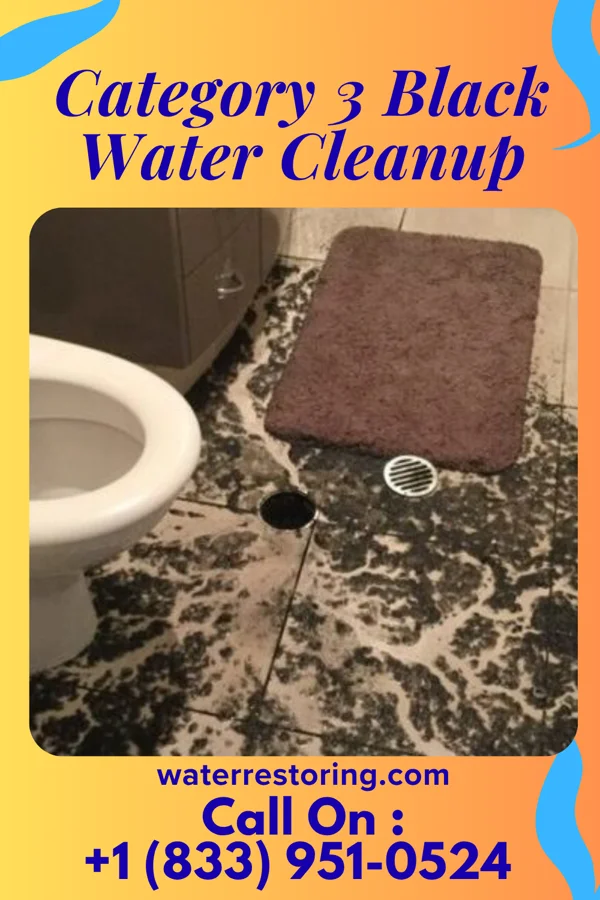 Category 3 Black Water Cleanup in Union Mill, VA