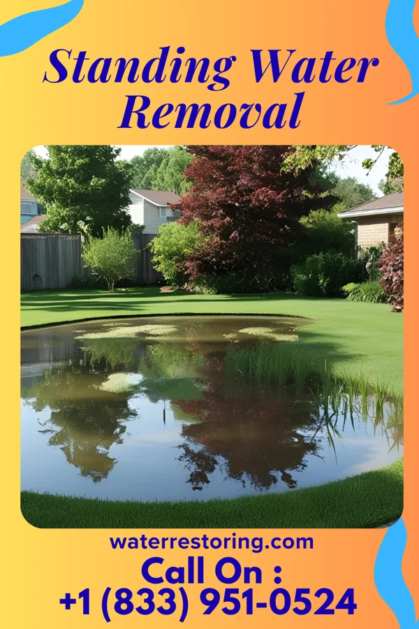 Standing Water Removal in Union Mill, VA